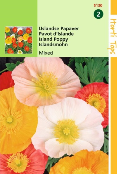 Iceland poppy Excelsior mix (Papaver) 2200 seeds
